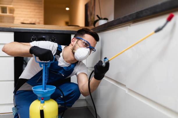 Best Flea Control Services  in Galesville, WI