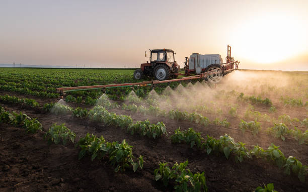 Best Cockroach Control Services  in Galesville, WI