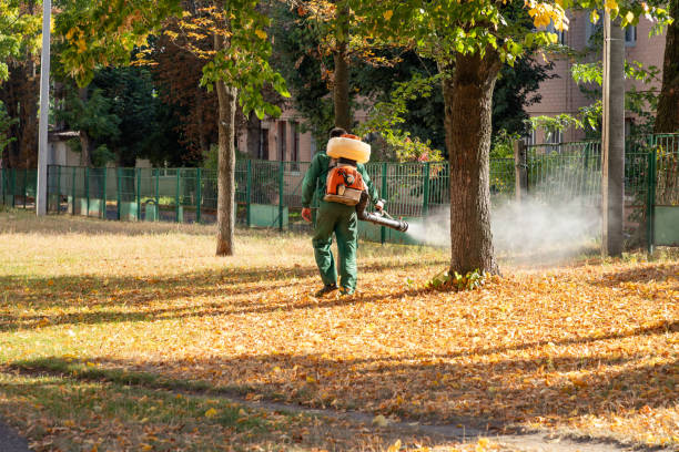 Best Wasp Removal Services  in Galesville, WI