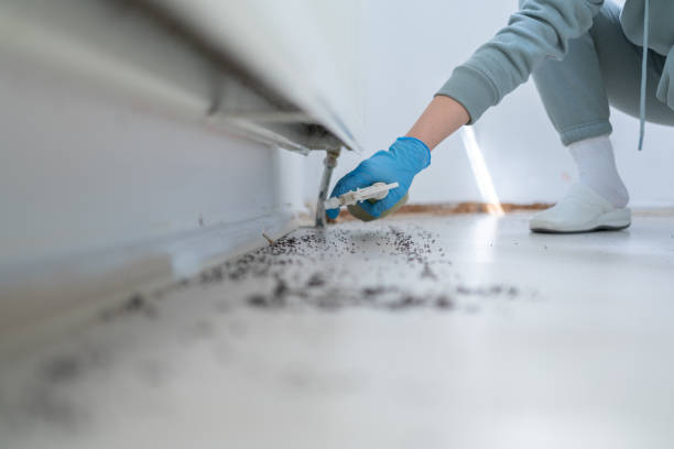 Best Best Pest Control Companies  in Galesville, WI