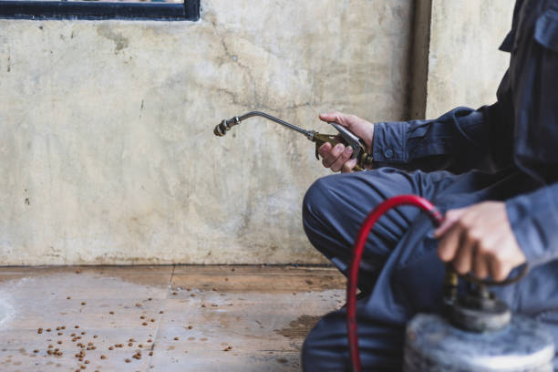 Best Local Pest Control Services  in Galesville, WI